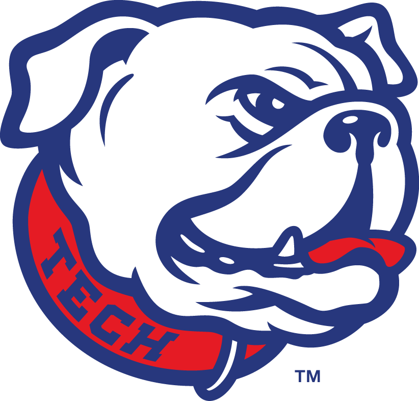 Louisiana Tech Bulldogs 2008-Pres Alternate Logo DIY iron on transfer (heat transfer)